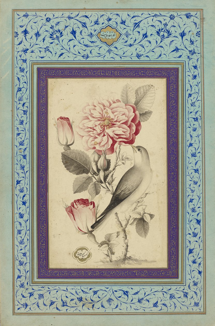 Roses et rossignol, fin du XVIIIe siècle - Muhammad Baqir