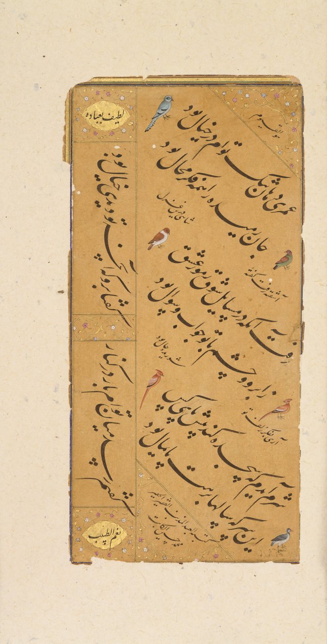 Page de calligraphie - Muhammad Husayn al Katib