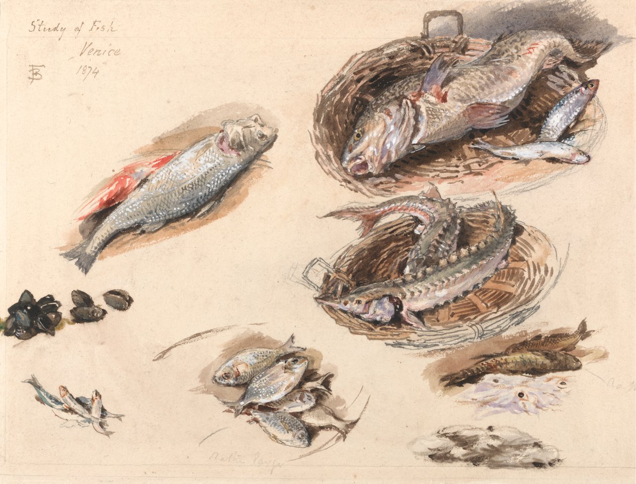 Étude de poissons, Venise - Myles Birket Foster