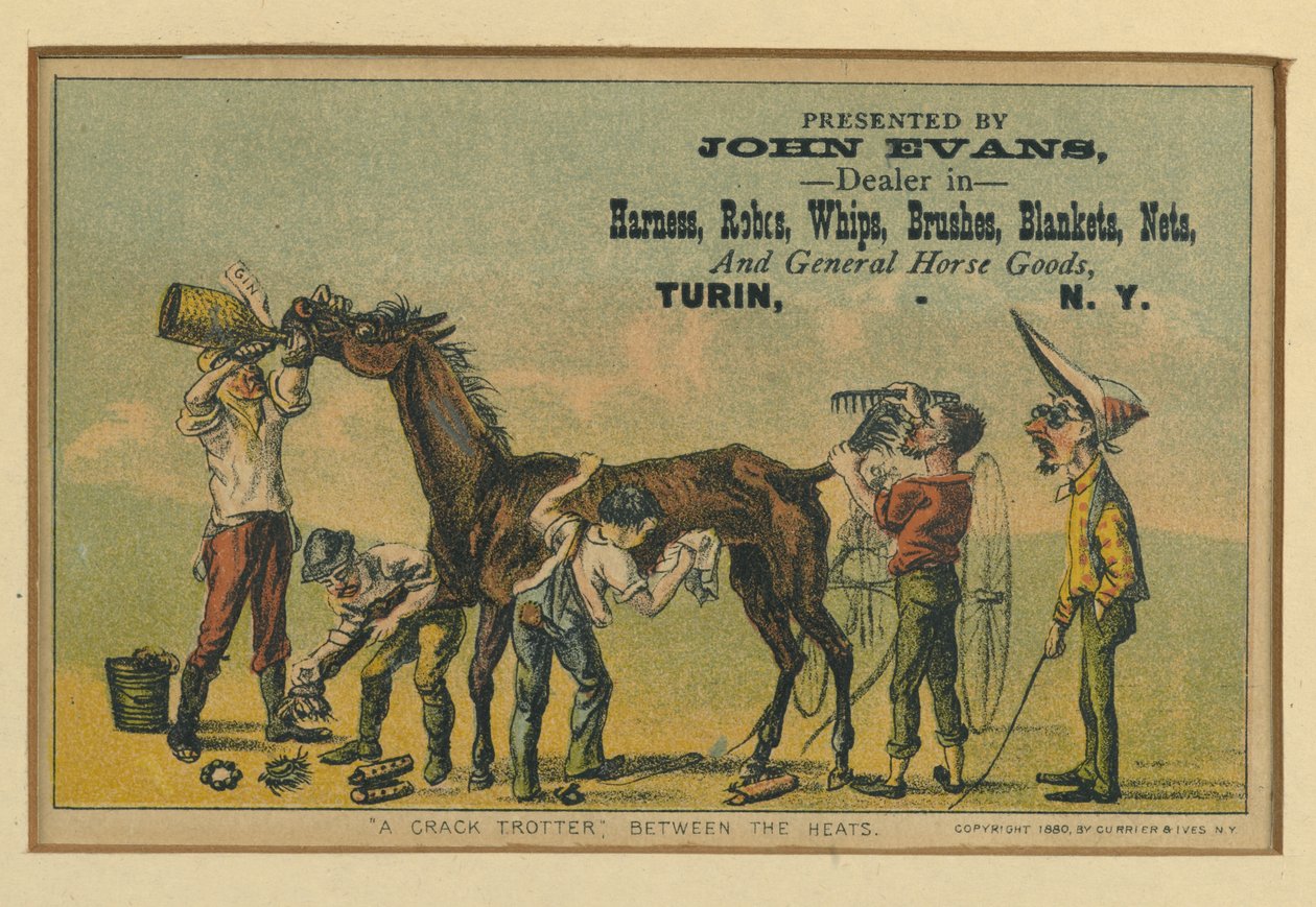 Un trotteur de crack entre les courses, 1880 - N. and Ives, J.M. Currier