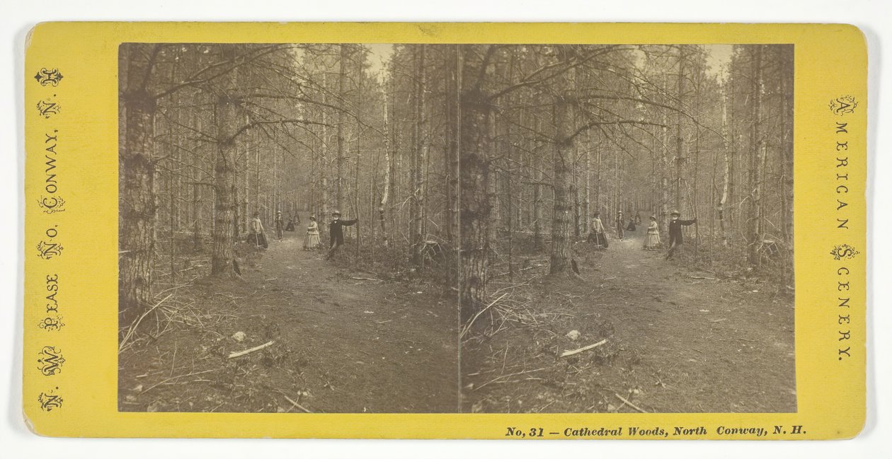 Bois de la cathédrale, North Conway, N.H. - N.W. Pease