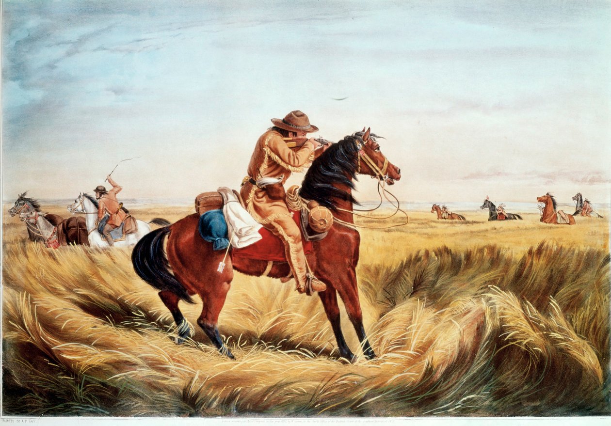 Un contrôle - gardez vos distances (impression en couleur) - N. and Ives J.M. (1824-95) Currier