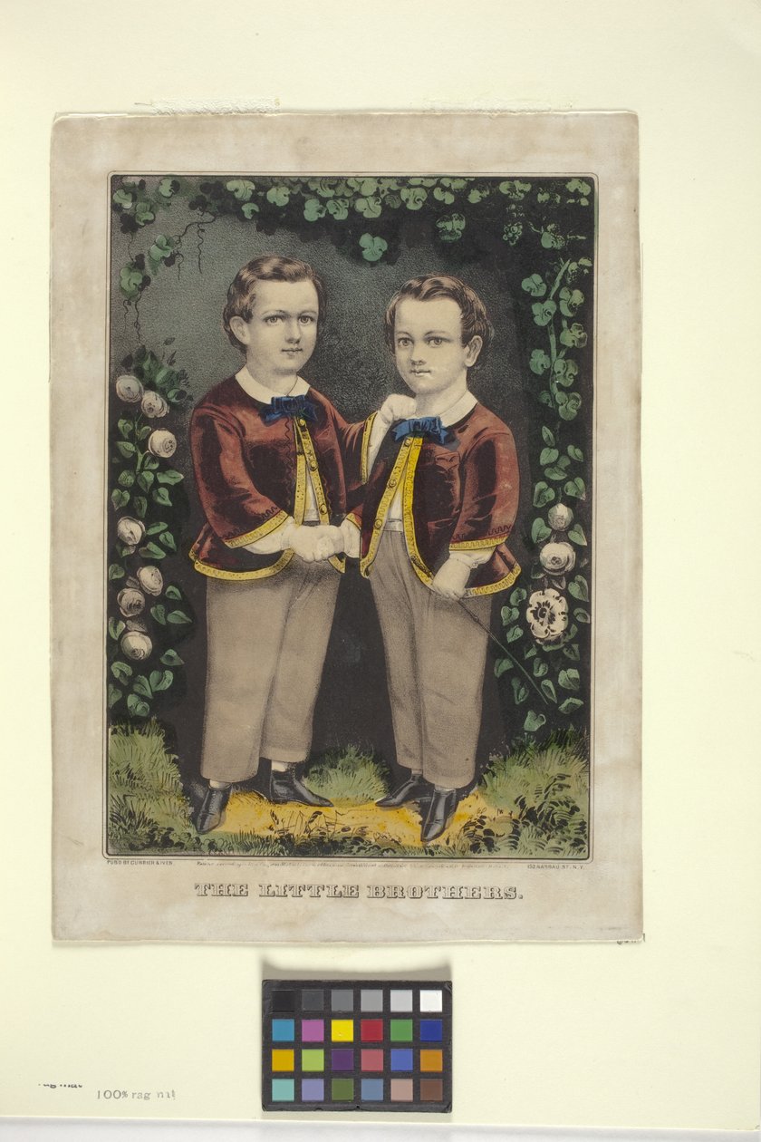 Petits Frères - N. and Ives J.M. (1824 95) Currier