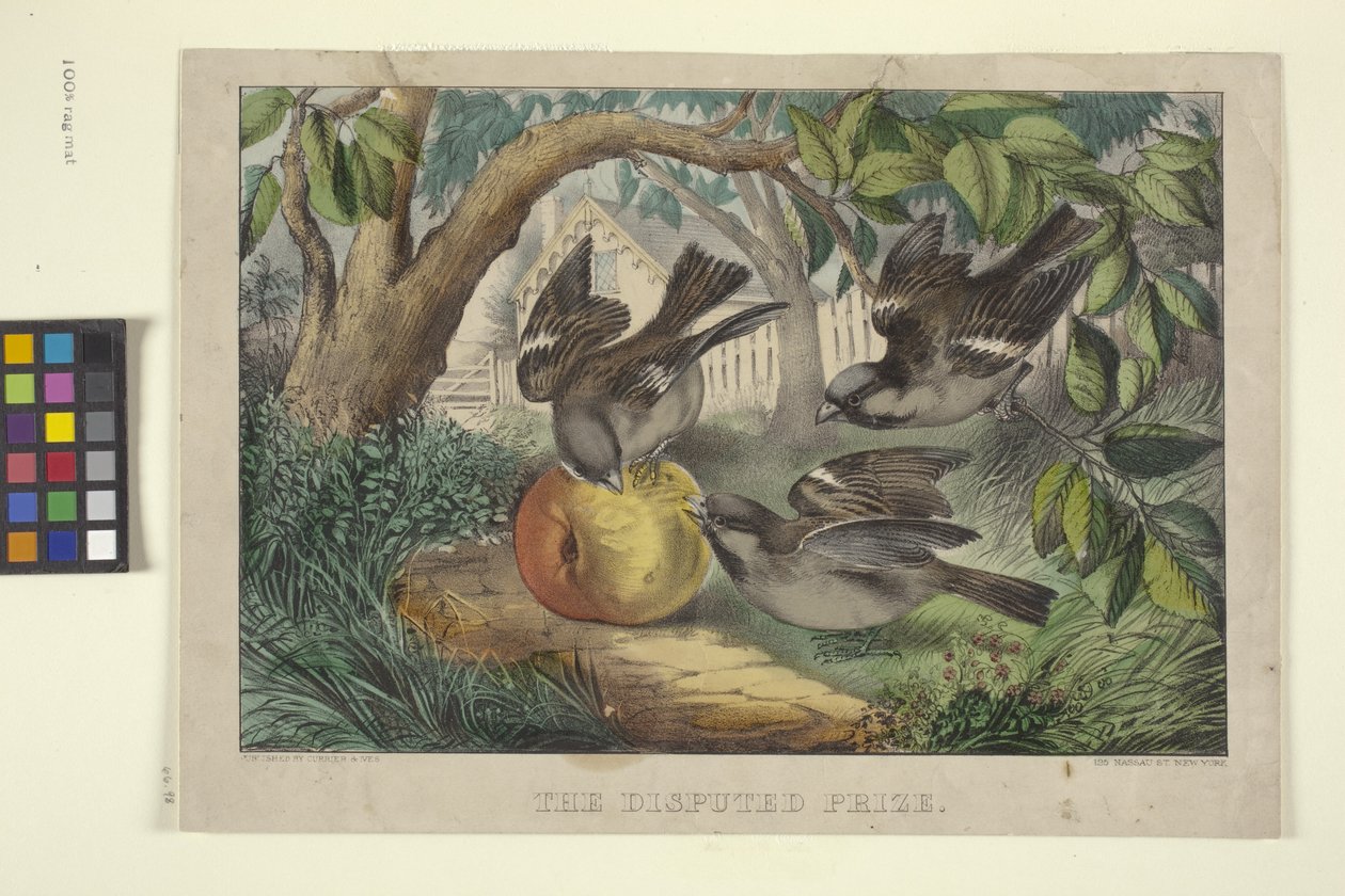 Le prix disputé - N. and Ives J.M. (1824 95) Currier