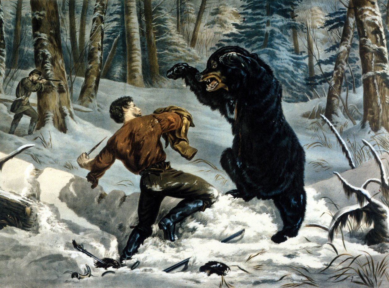 La vie des trappeurs (chasseurs professionnels) au Canada : un chasseur est attaqué par un ours grizzly. Illustration de Yves et Currier. - Currier and Ives