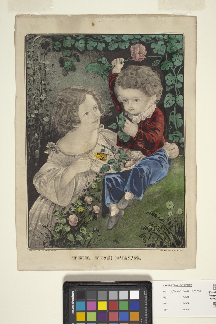 Les deux animaux de compagnie - N. and Ives J.M. (1824 95) Currier