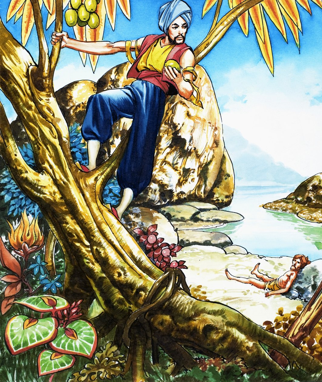 Sinbad le marin - Nadir Quinto
