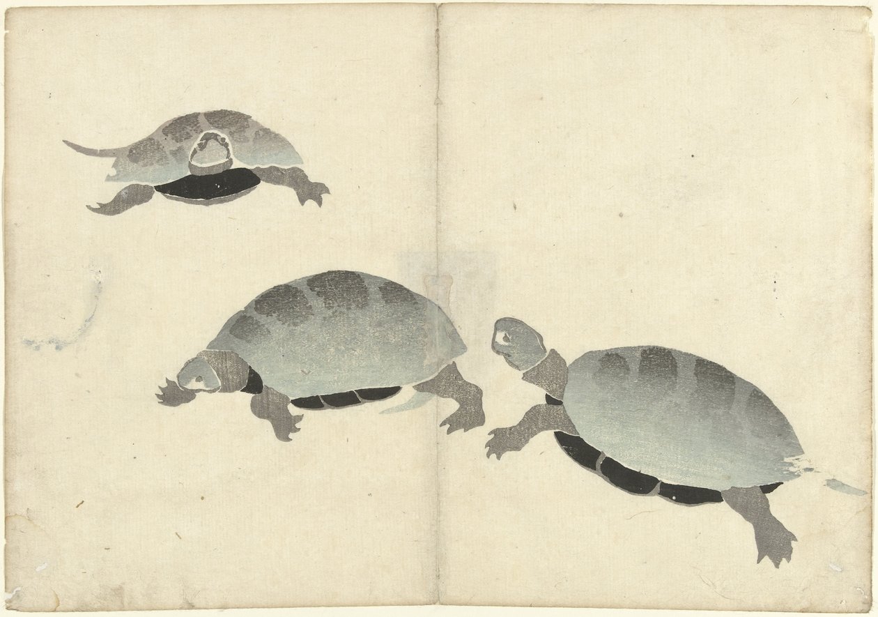 Trois tortues - Nakamura Hochu