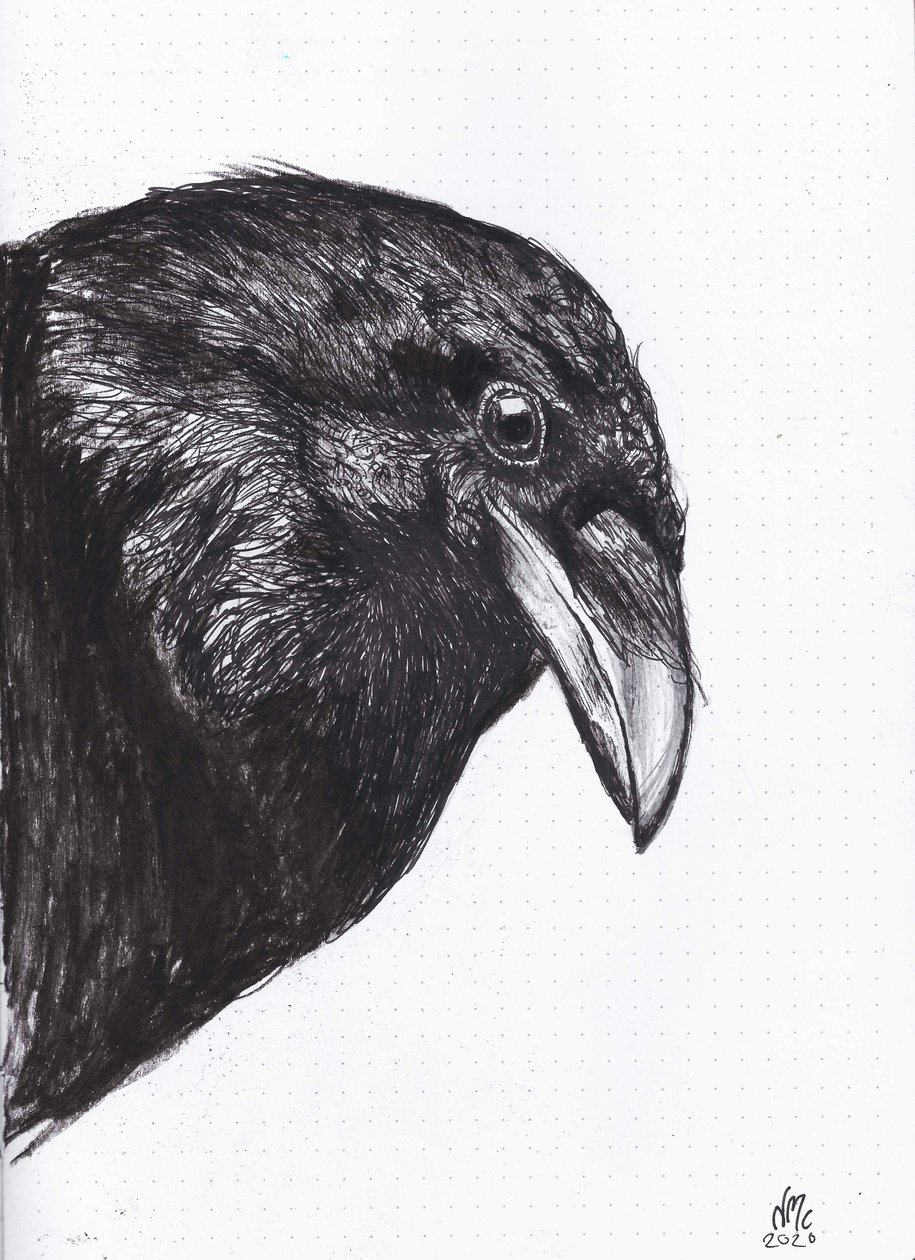 Corbeau ou corneille - Nancy Moniz Charalambous