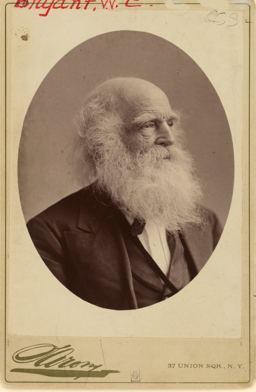 William Cullen Bryant - Napoleon Sarony