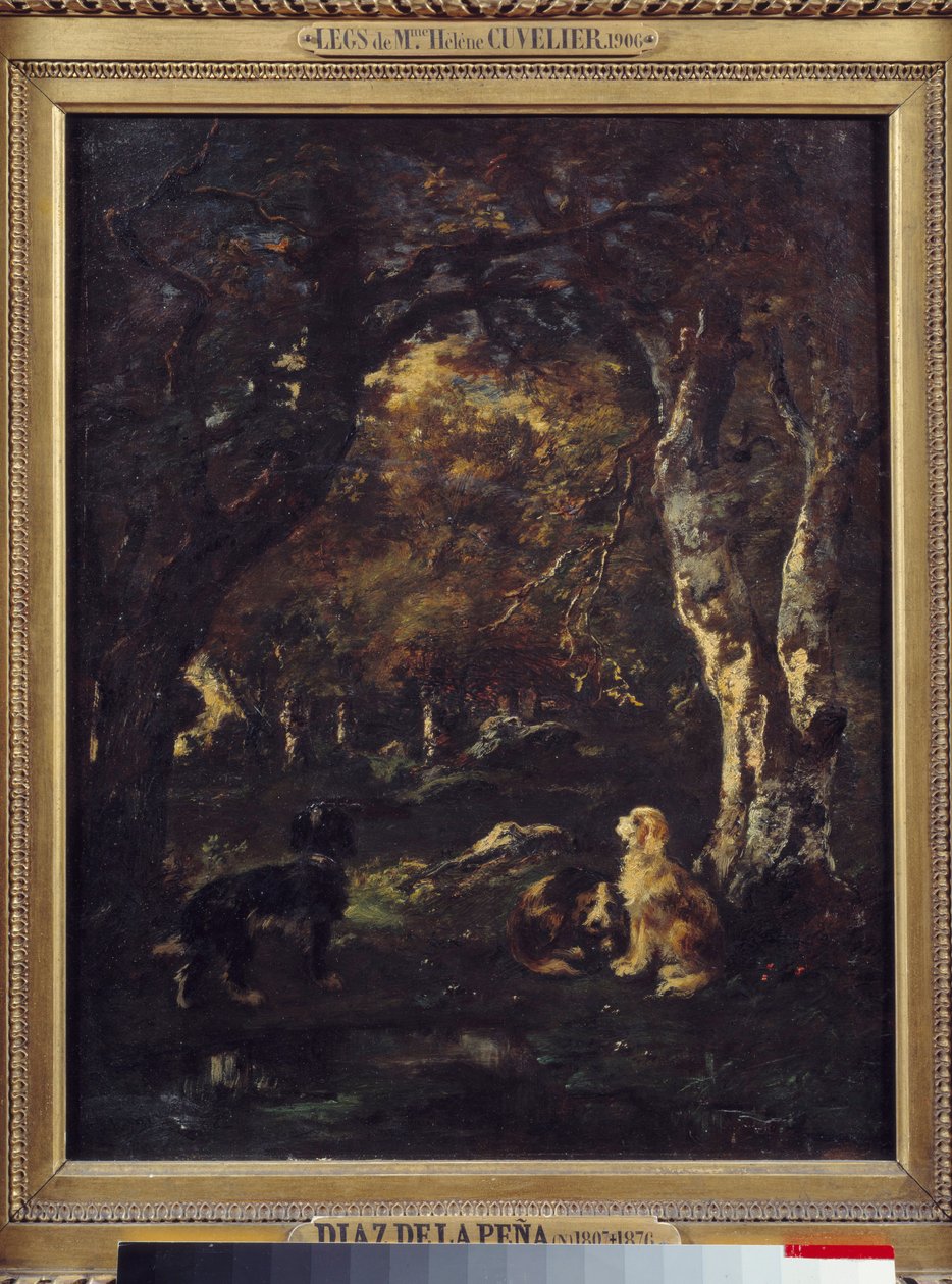 Chiens dans la forêt - Narcisse Virgile Diaz de la Peña