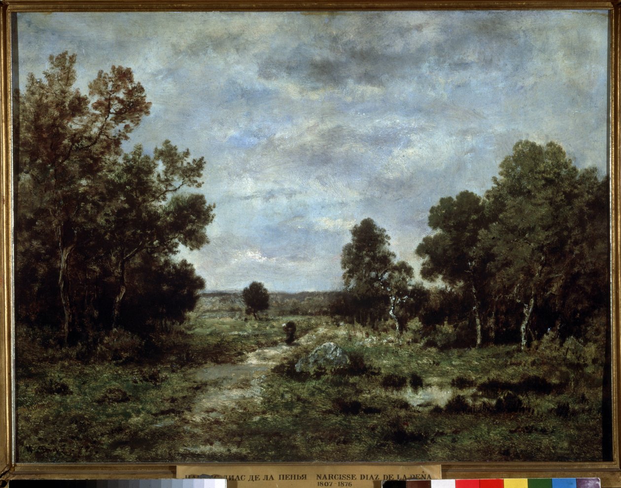 Paysage d
