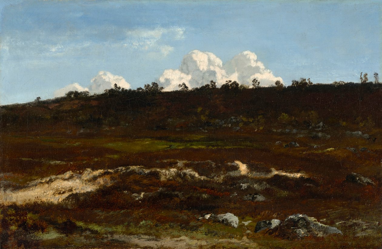 Lande. Terrain en pente à Apremont avec sillon de sable - Narcisse Virgilio Diaz de la Peña
