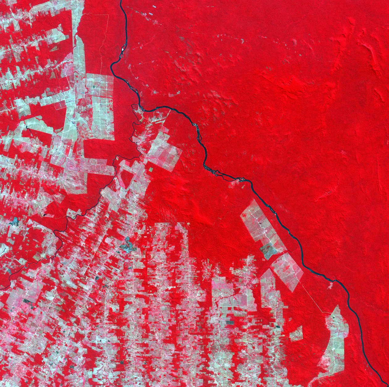 Image satellite en fausses couleurs de la déforestation dans l