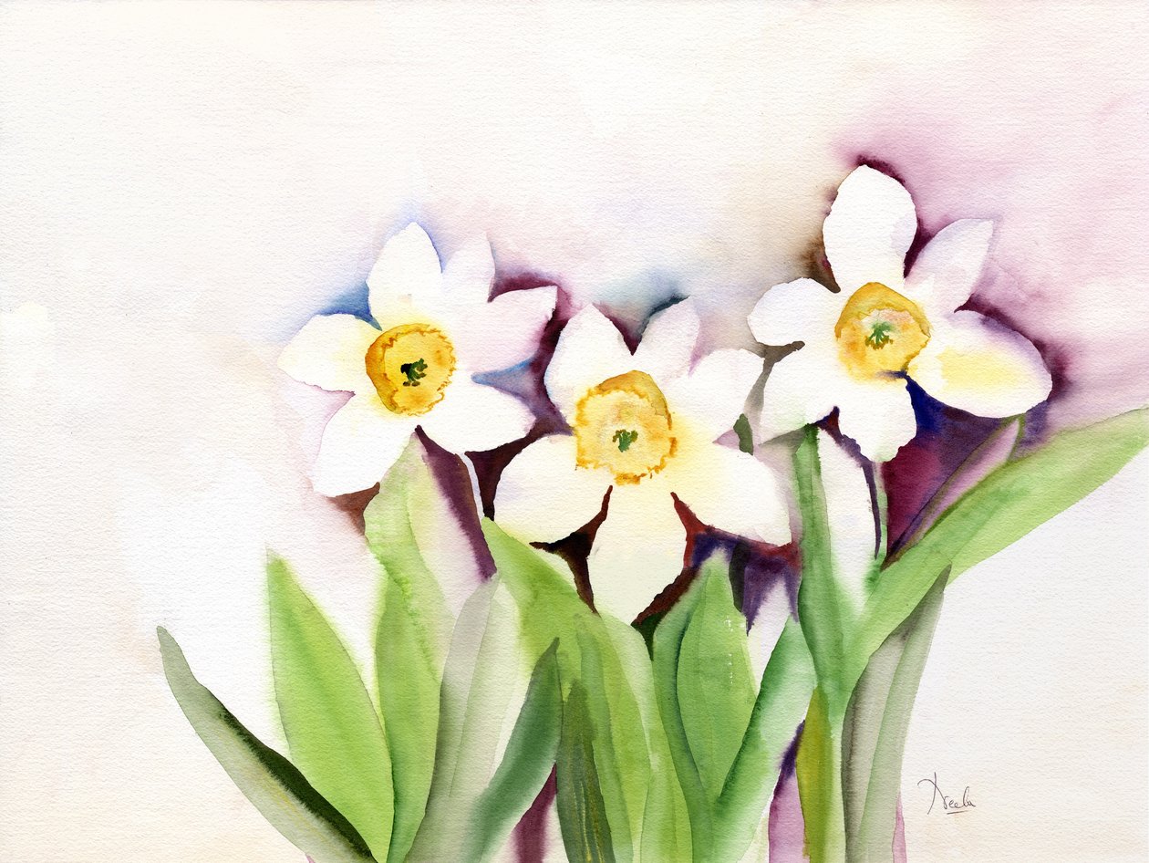 Trois jonquilles - Neela Pushparaj