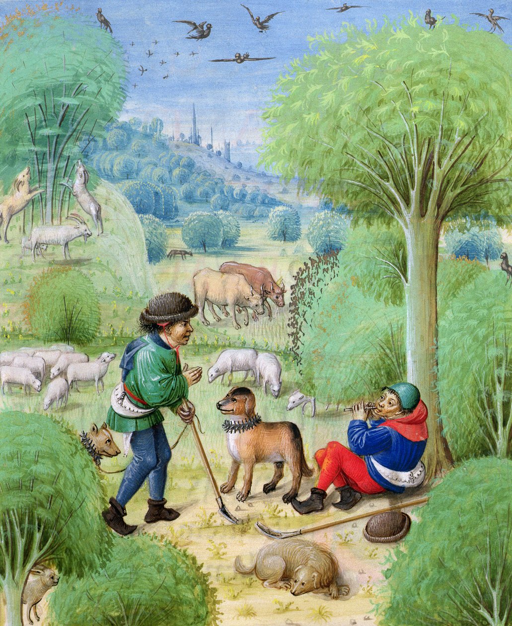 Ms 324 f.9 r. Scène pastorale, des Bucoliques de Virgile, 1472-73 - Netherlandish School