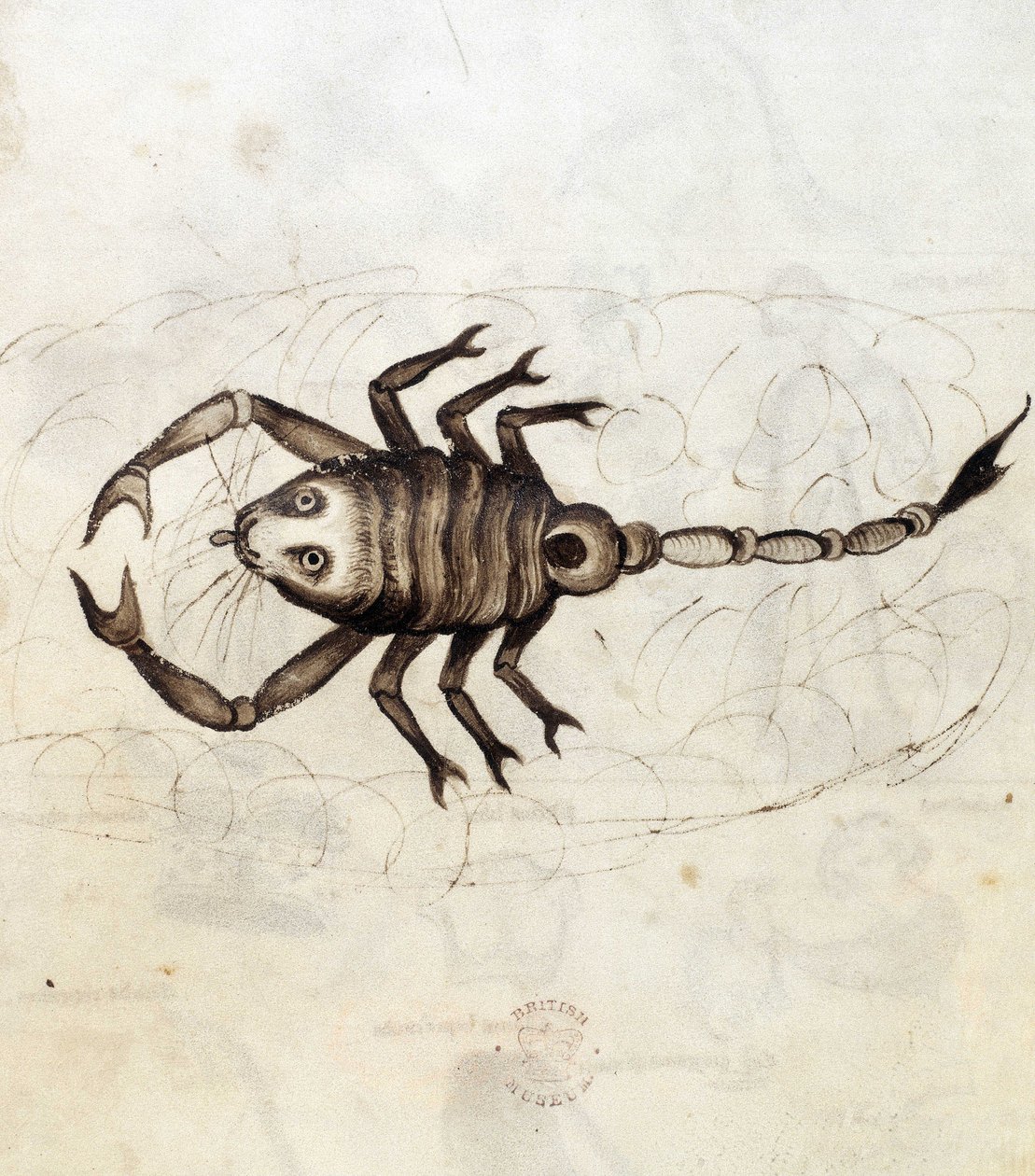 Le signe du zodiaque Scorpion - Netherlandish School