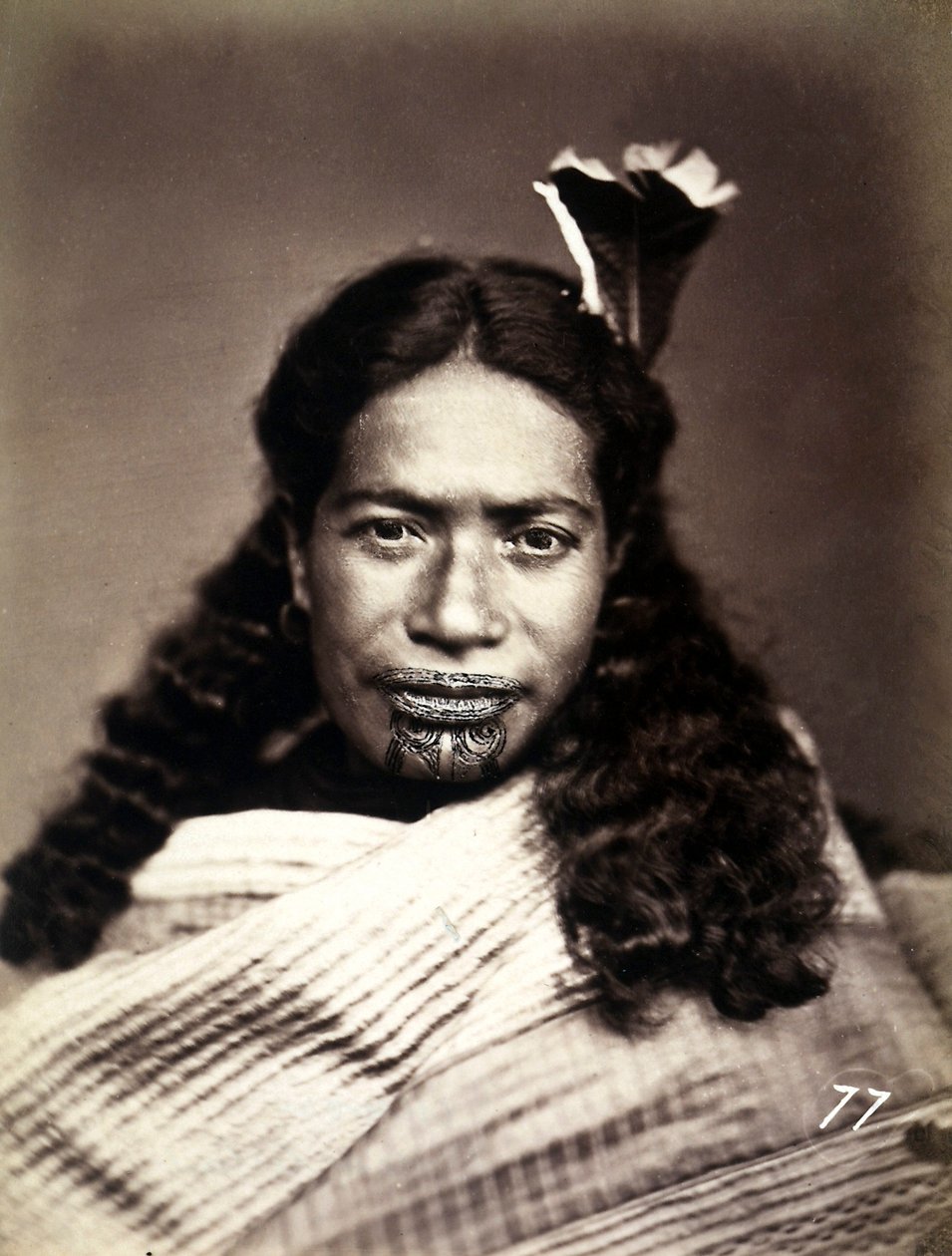 Portrait d