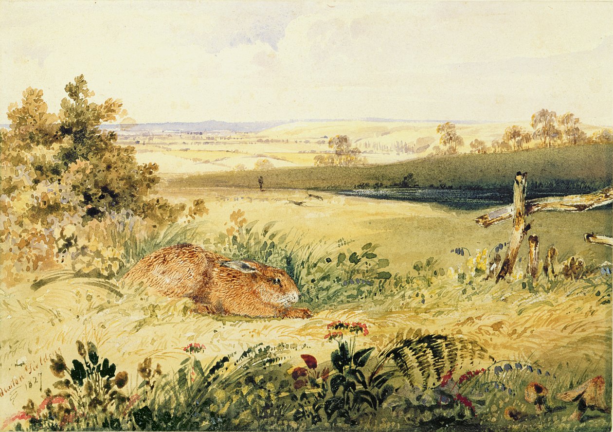 Lièvre dans un paysage, 1827 - Newton Fielding