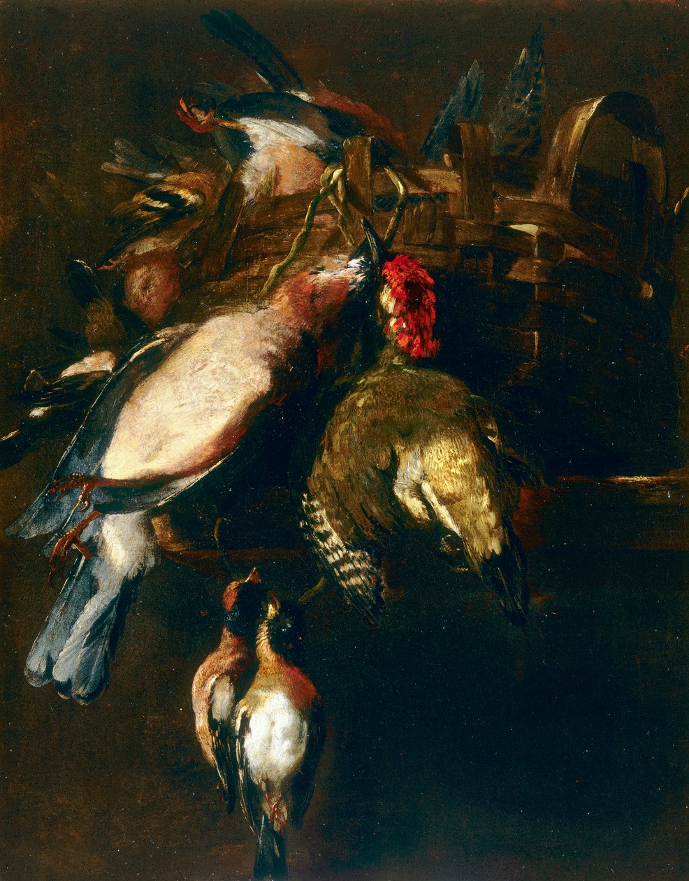 Nature morte avec cestode, un rollier et deux pinsons - Nicasius 1620 78 Bernaerts