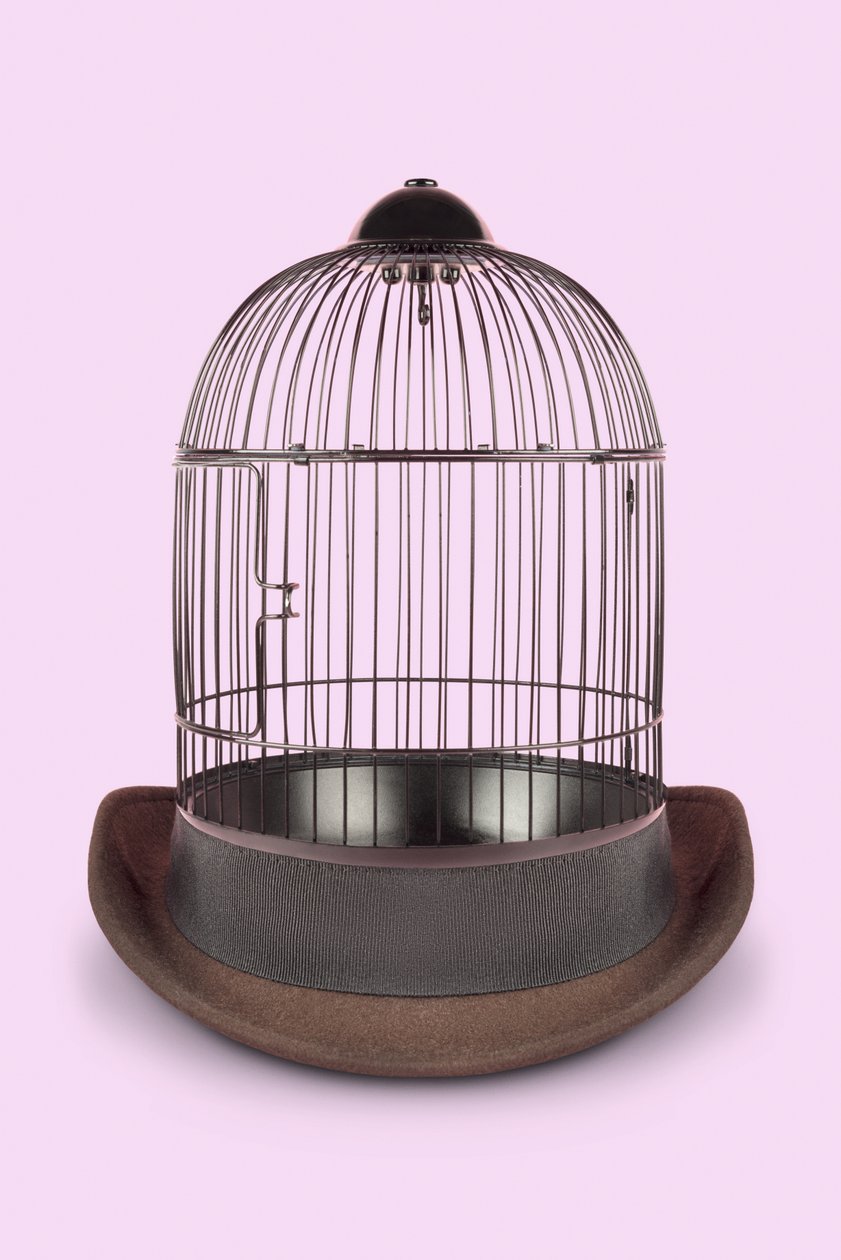 Cage mentale, 2020 - Niccolò Fioriti
