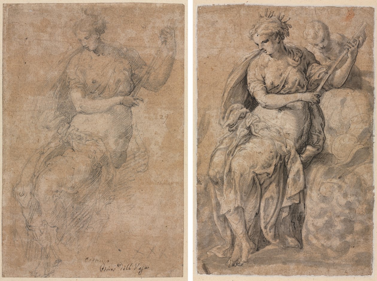 Figure allégorique (recto et verso) - Niccolo dell