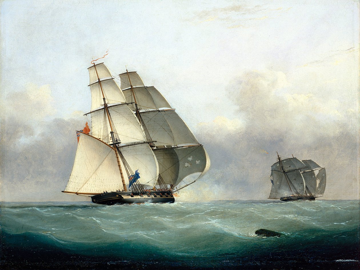 La capture du négrier 