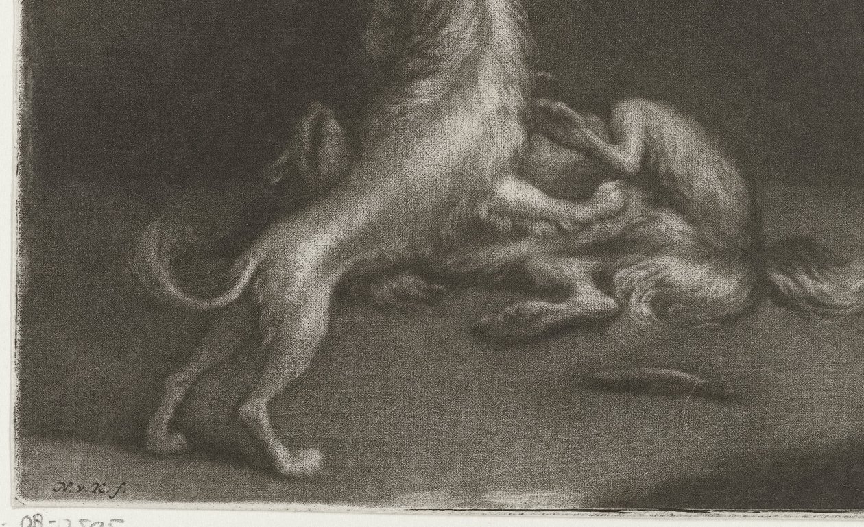 Deux chiens jouant - Nicolaas Verkolje