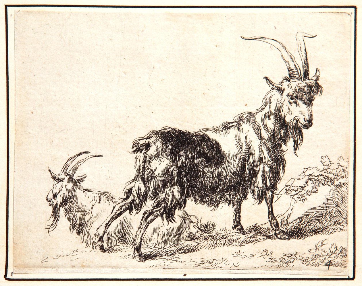 Chèvres - Nicolaes Pietersz. Berchem