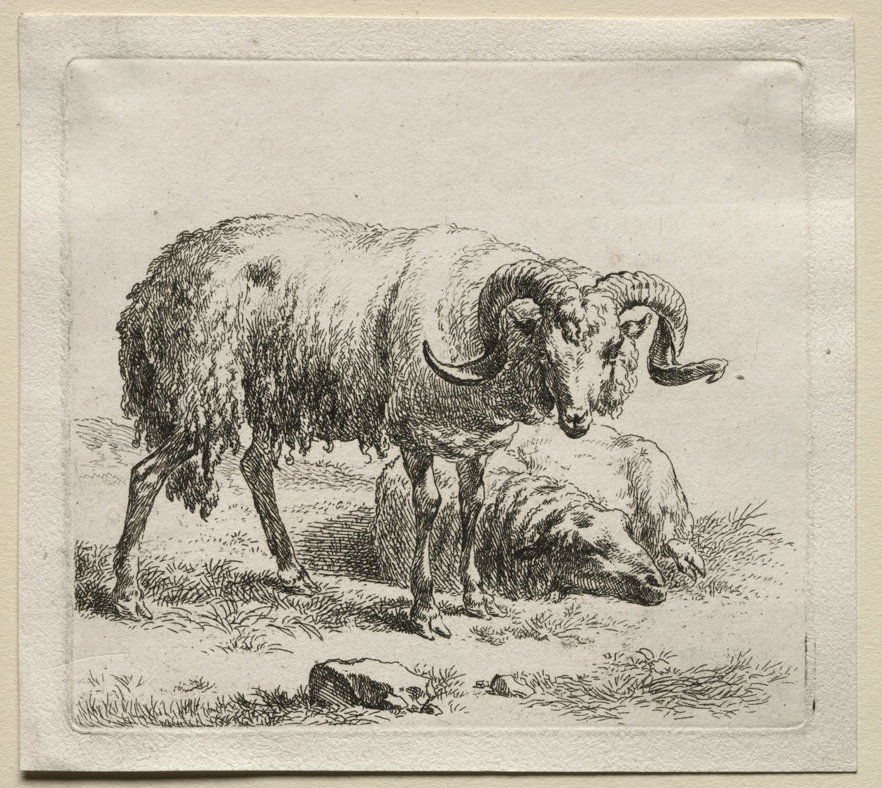 Animalia : Bélier et moutons - Nicolaes Berchem