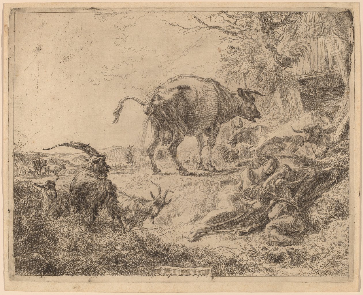 Vache urinant - Nicolaes Berchem