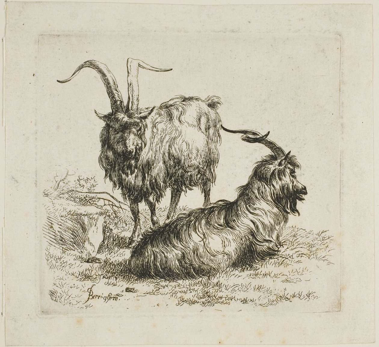 Deux chèvres aux grandes cornes, de Divers animaux - Nicolaes Berchem