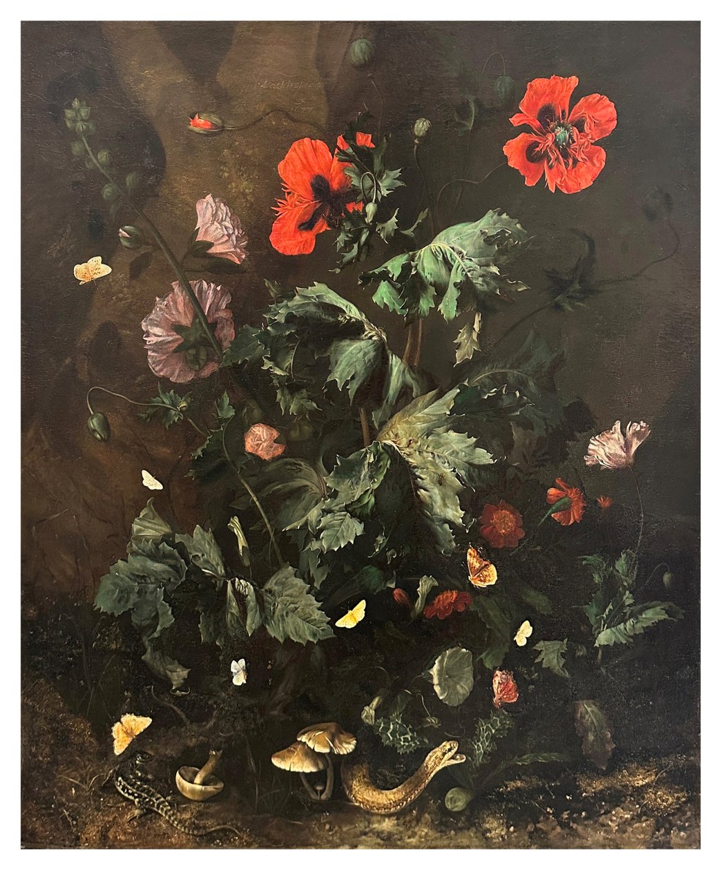 Un sol forestier avec des fleurs, des papillons et des reptiles, vers 1656-1700 (huile sur toile) - Nicolaes Lachtropius