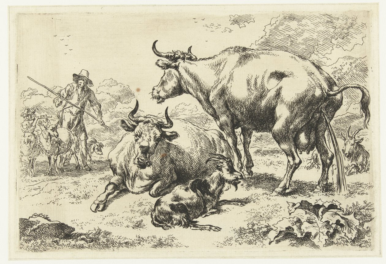 Vache couchée et vache urinant - Nicolaes Pietersz Berchem