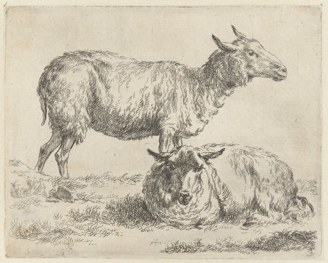 Mouton debout et couché - Nicolaes Pietersz Berchem