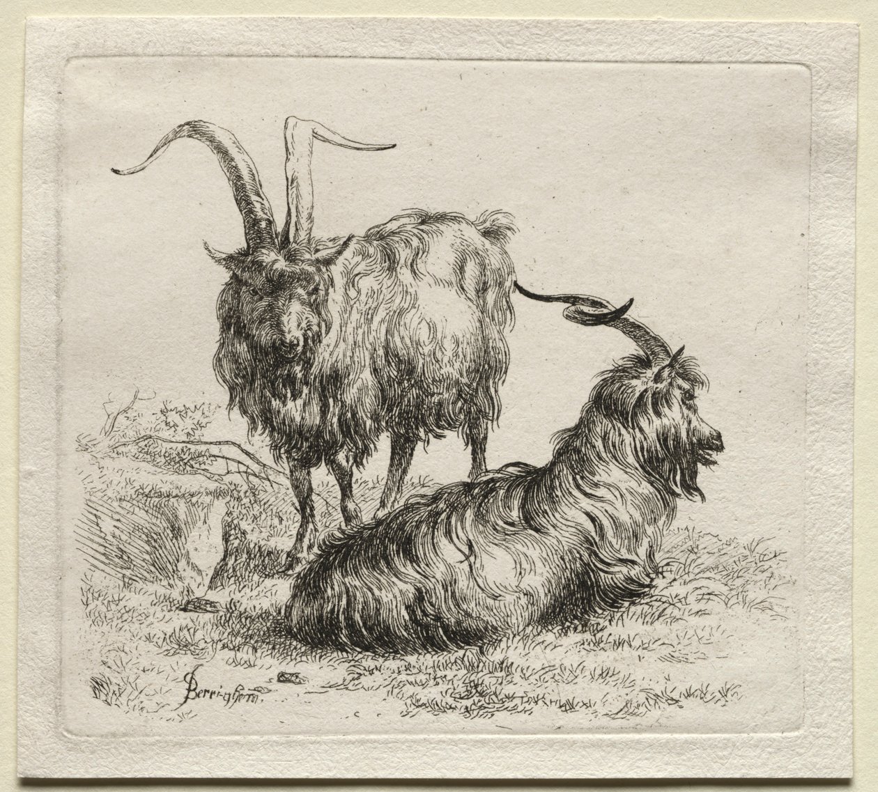 Deux chèvres - Nicolaes Pietersz. Berchem