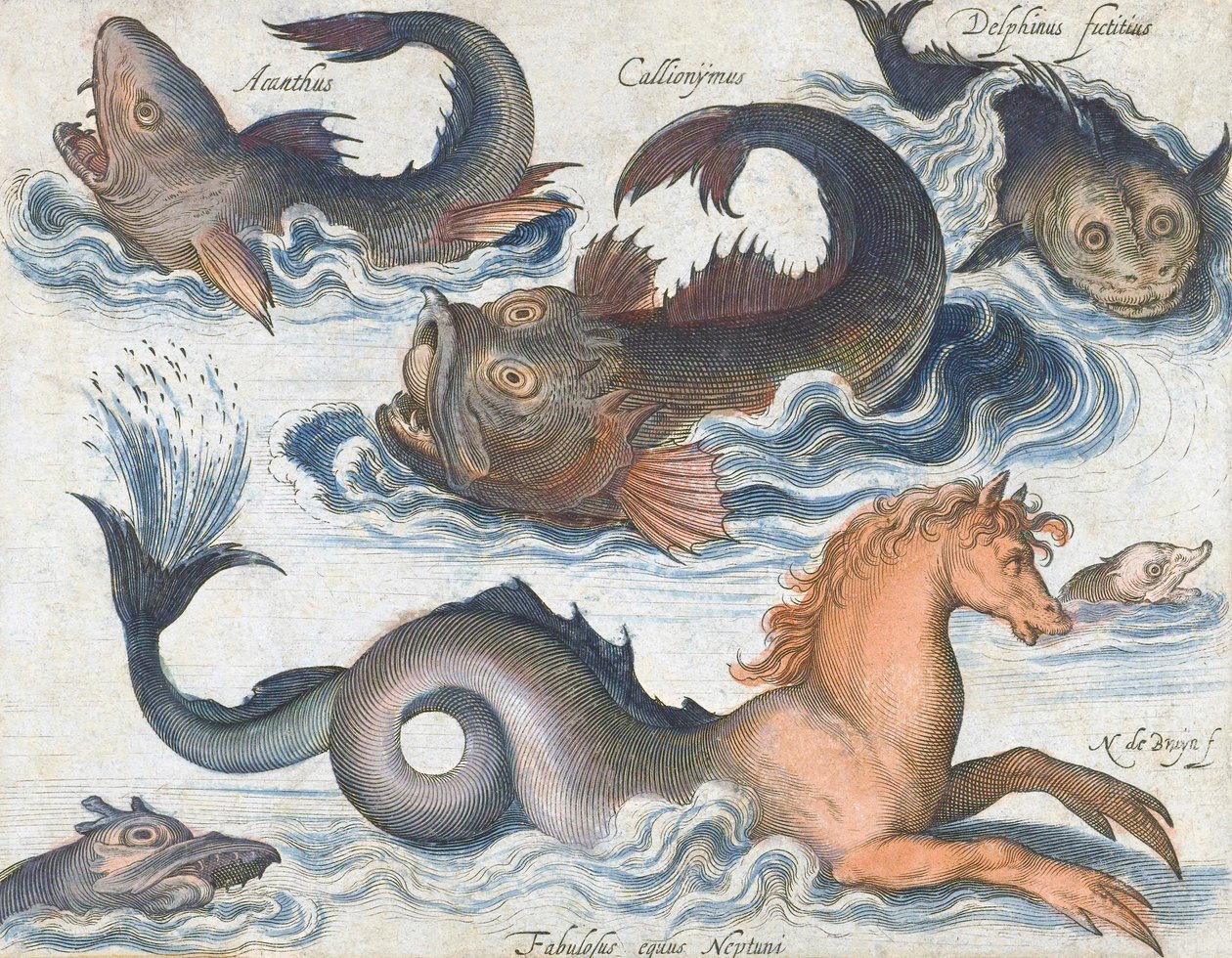 Hippocampe et créatures aquatiques imaginaires - Nicolaes de (after) Bruyn