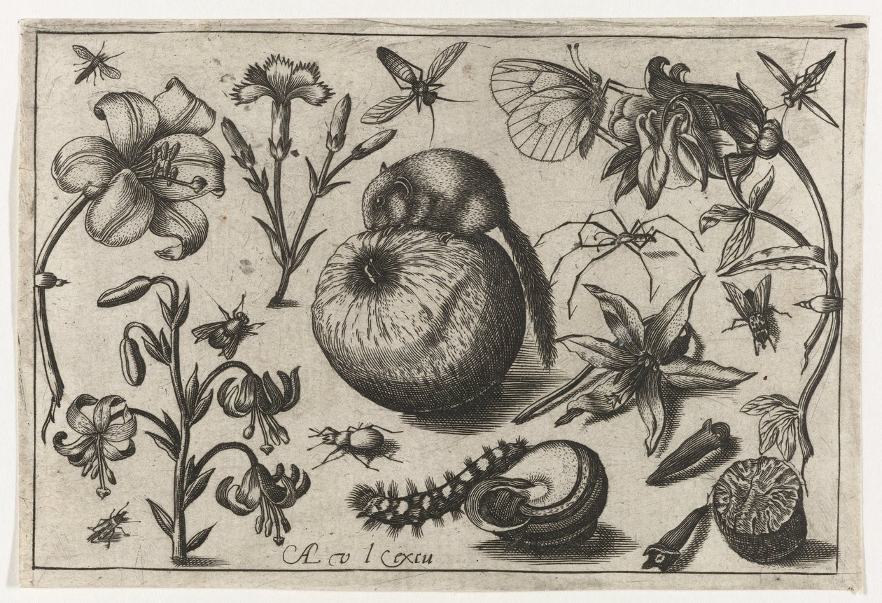Fleurs et une souris sur une pomme - Nicolaes de Bruyn (possibly)