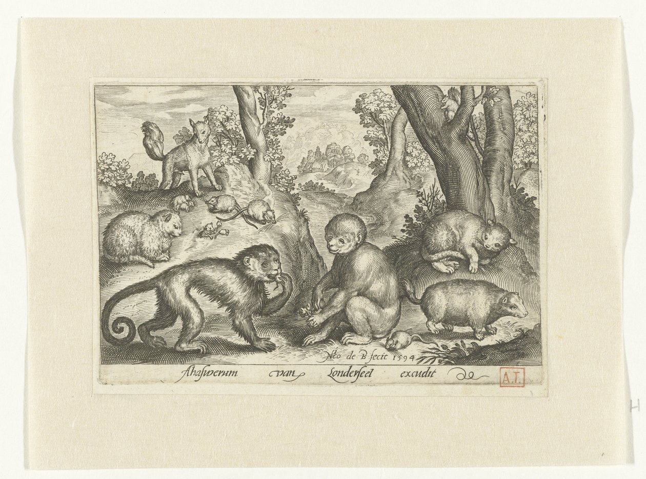 Singes, chats et souris - Nicolaes de Bruyn