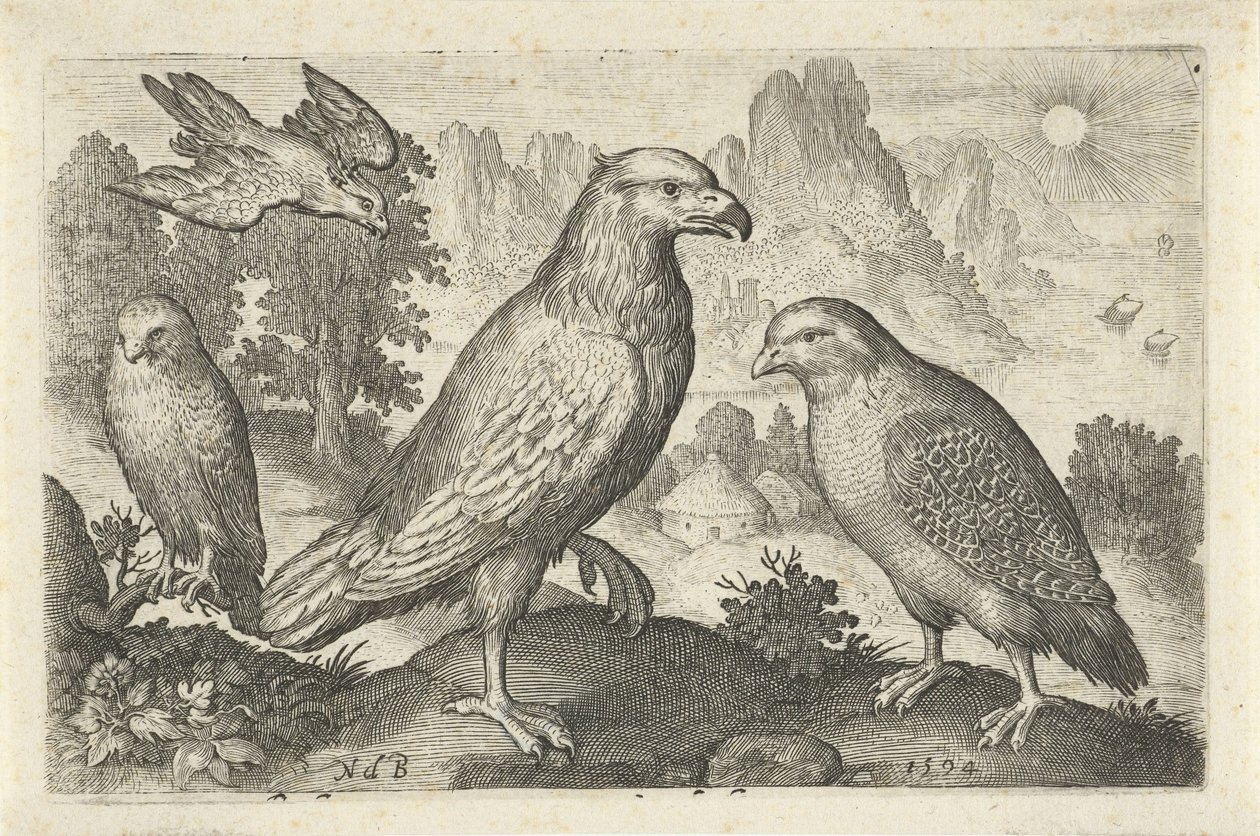 Aigle et autres rapaces (Vogels en insecten) - Nicolaes de Bruyn
