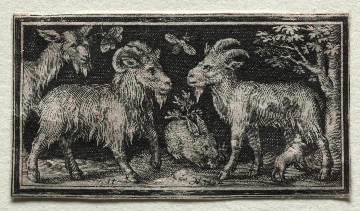 Chèvres et Lièvre, 1594 - Nicolaes de Bruyn