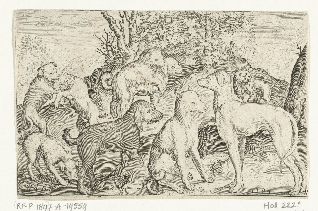 Neuf chiens - Nicolaes de Bruyn