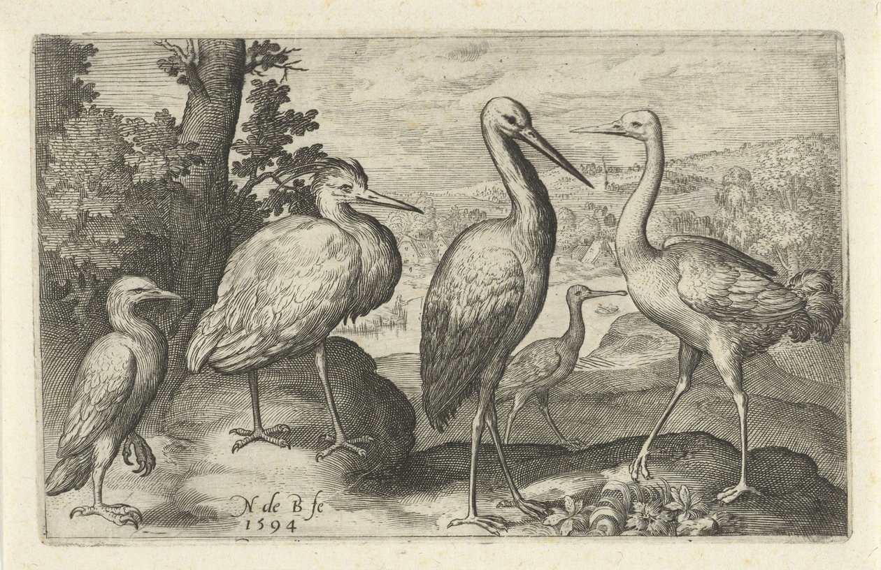 Cigogne, grue, héron et spatule (Oiseaux et insectes) - Nicolaes de Bruyn