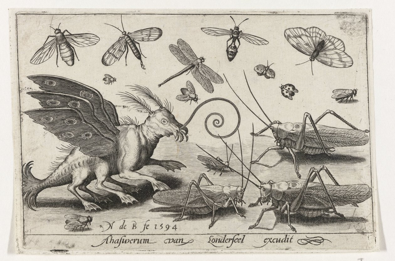 Sauterelles et créature fantastique avec ailes et palmes (Vogels en insecten) - Nicolaes de Bruyn
