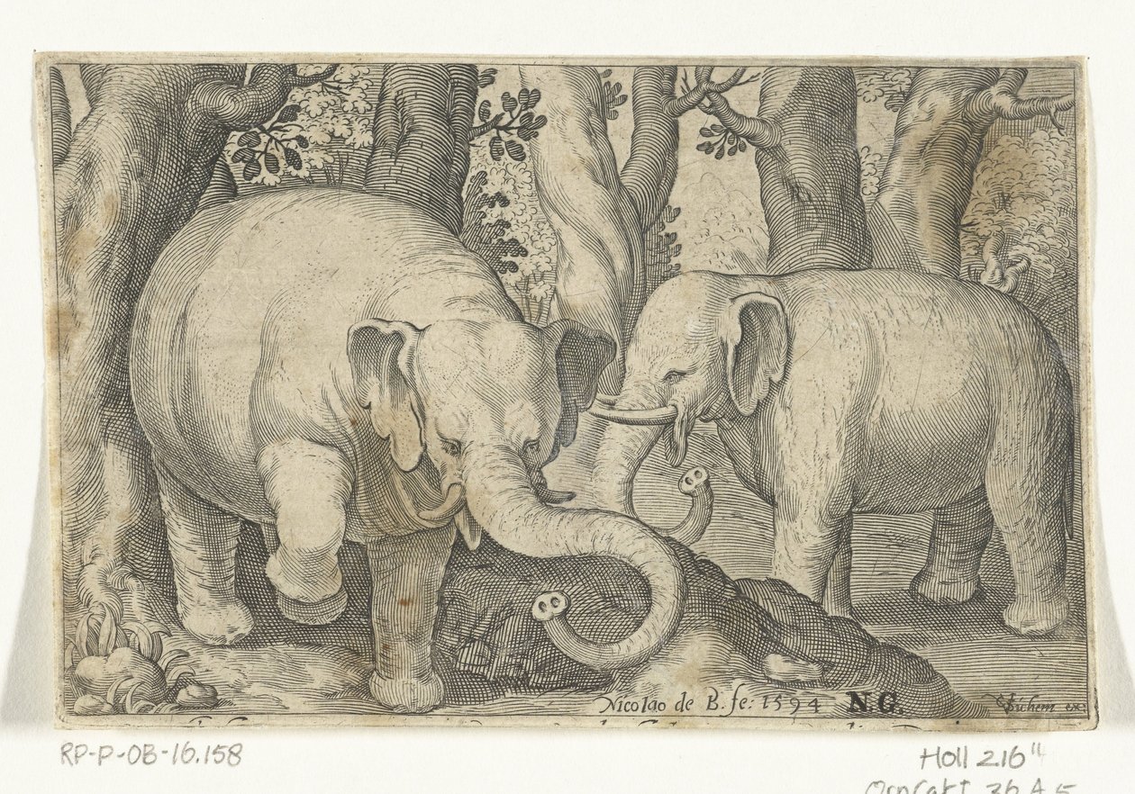 Deux éléphants
Animalivm qvadrvpedvm (série)
Animaux dans les paysages (série) - Nicolaes de Bruyn