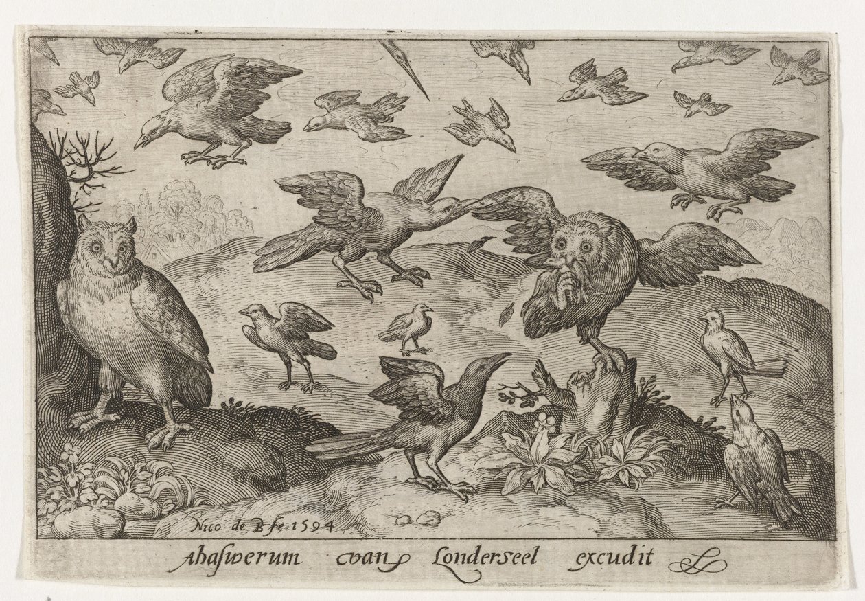 Hibou avec proie attaqué par d