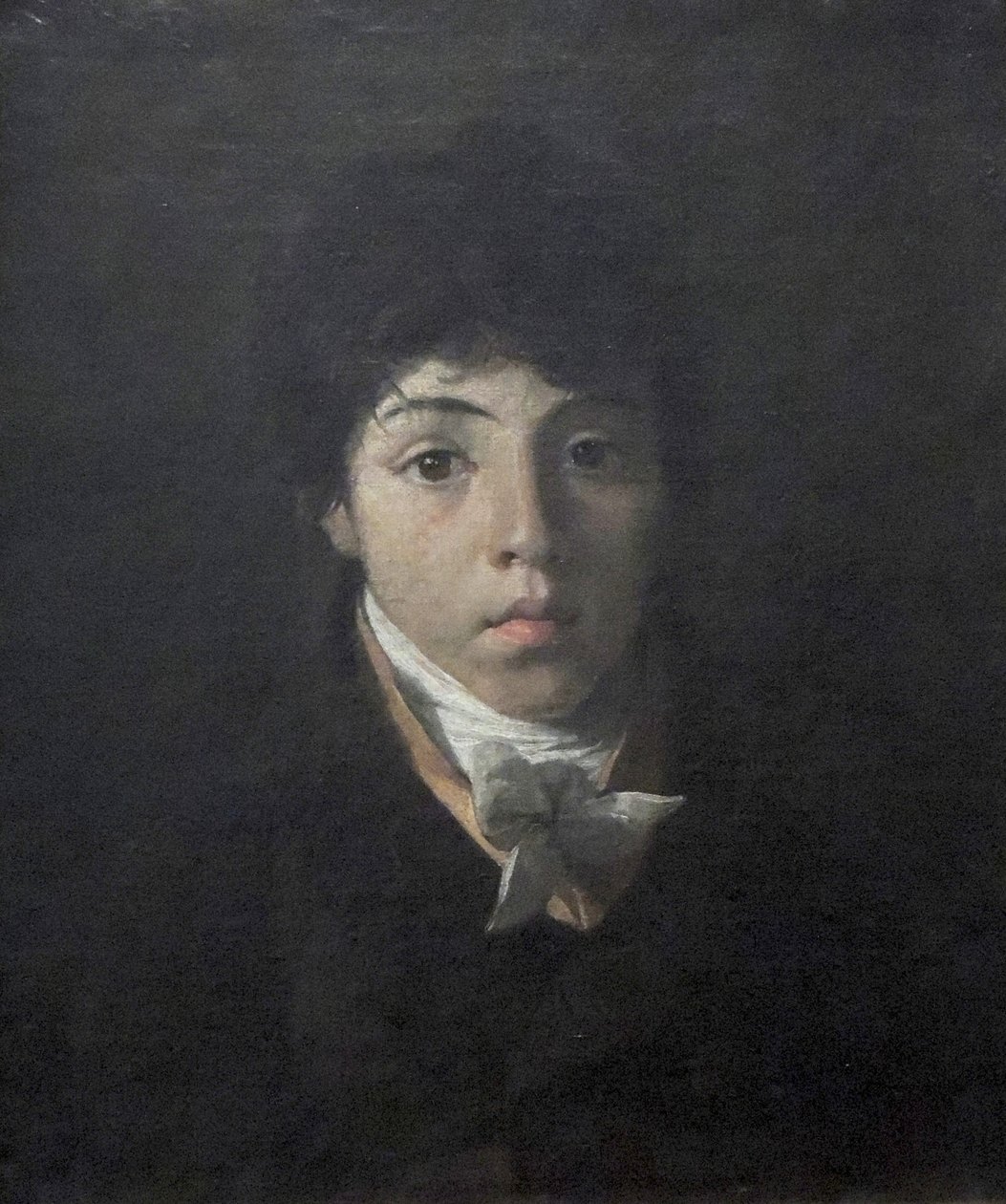Portrait du jeune Teodoro Taunay - Nicolas Antoine Taunay
