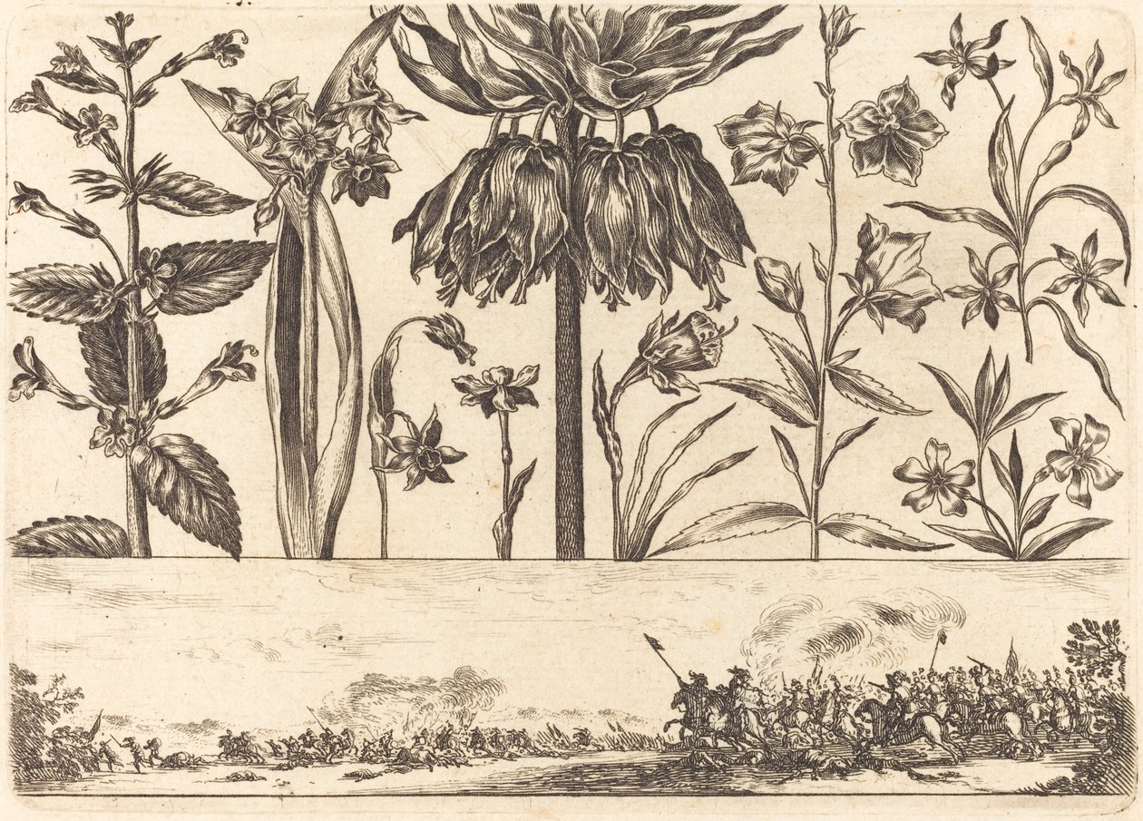 Impression de fleurs n°10 - Nicolas Cochin after Balthasar Moncornet