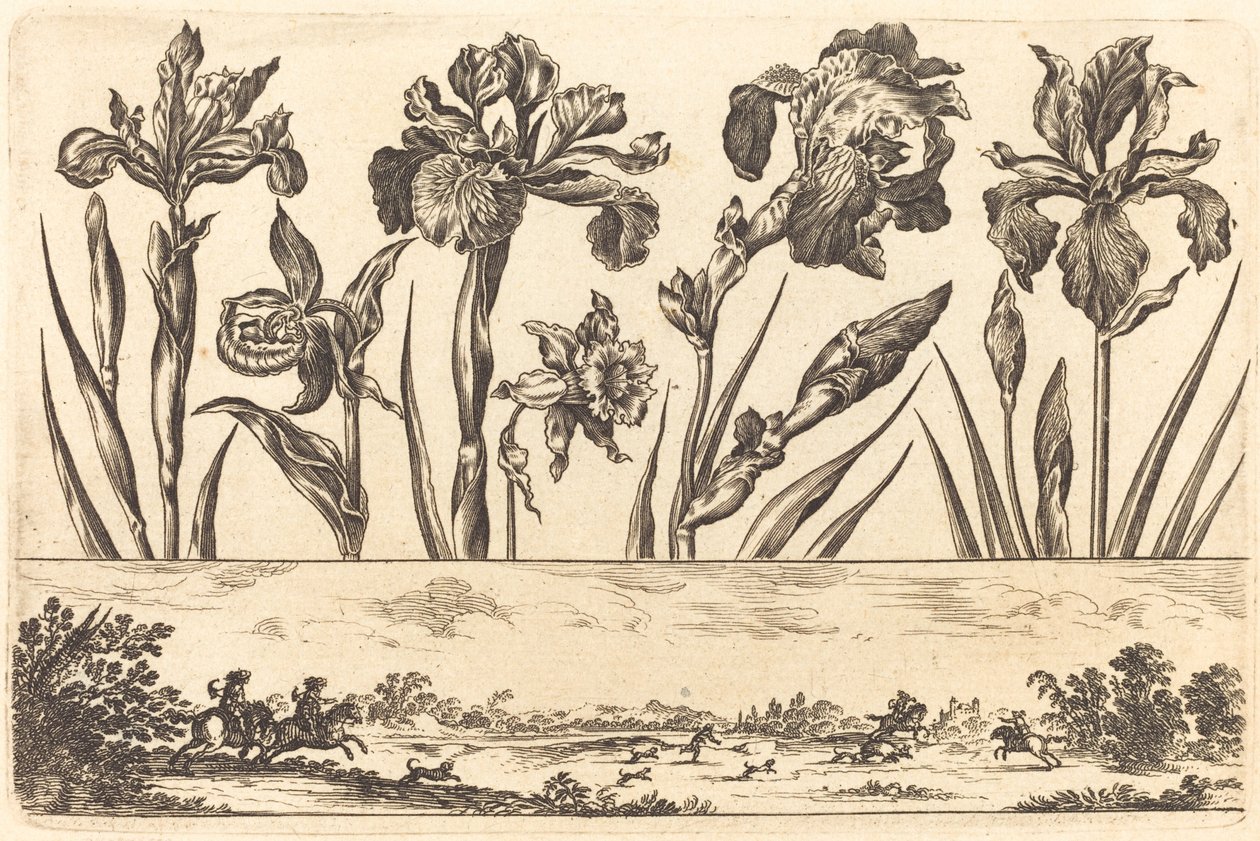 Impression de fleurs n°3 - Nicolas Cochin after Balthasar Moncornet