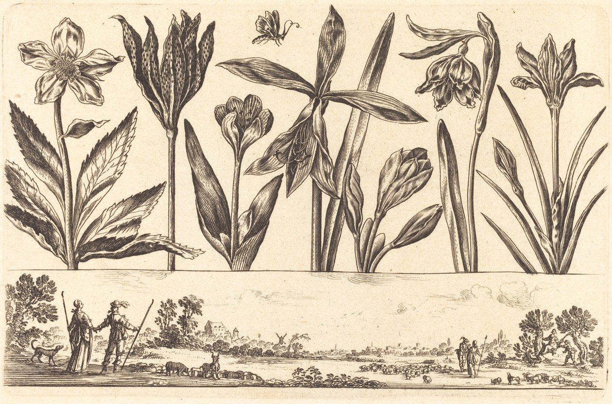 Impression de fleurs n°4 - Nicolas Cochin after Balthasar Moncornet